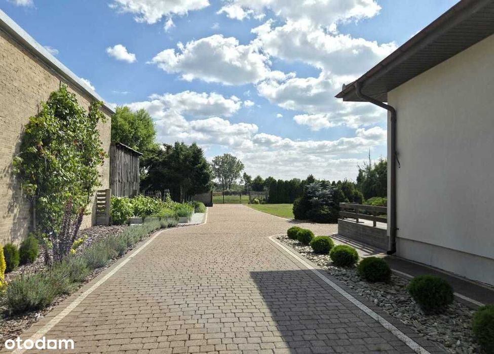 Dom – Pudzików - Więcej