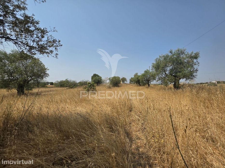 Terreno com Ruína para Reconstrução, Casével – Santarém