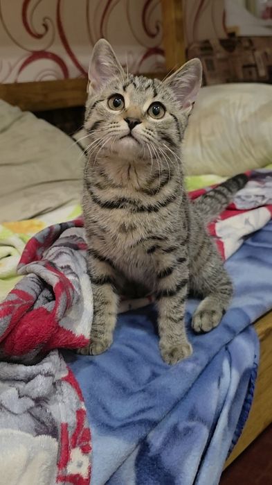 Чіта дуже гарна і мила дівчинка