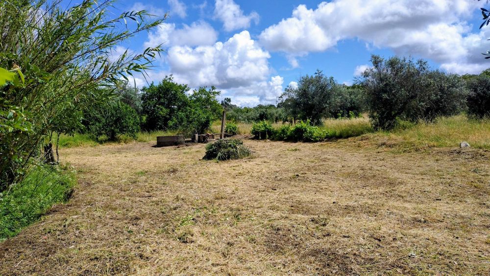 Terreno rustico 500m2 em Touloes Idanha-a-Nova