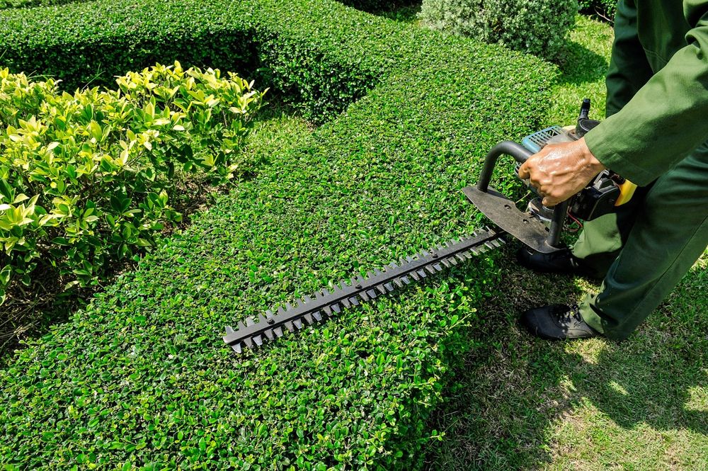 Serviços de Jardinagem e Limpeza de terrenos