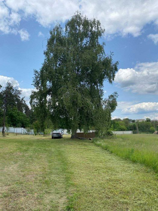 Продаж гарного будинку в мальовничому місці з ВЕЛИКИМИ земельними ділянками.