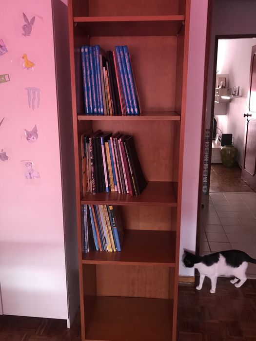 estante de pinho mel