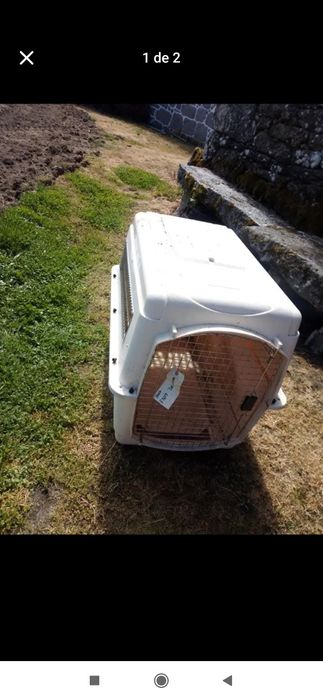 Caixa para transporte de cão
