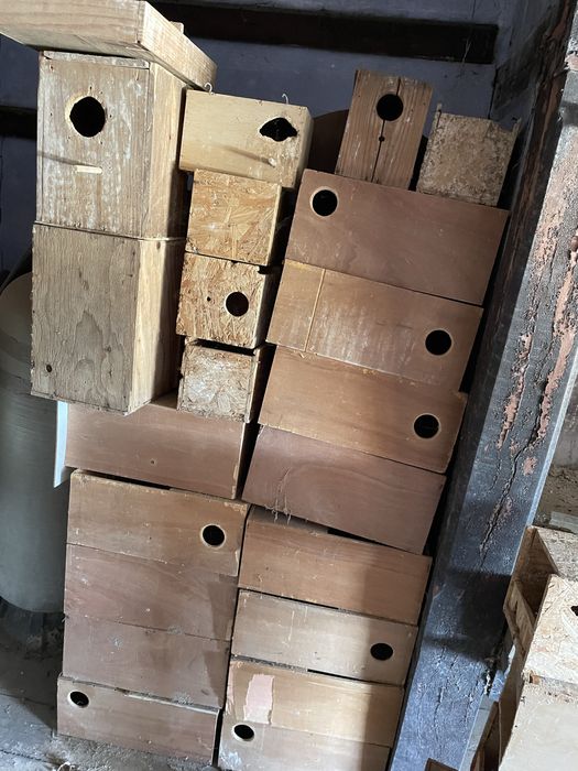 Gaiolas e ninhos para venda