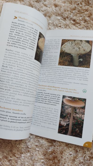 Podreczny atlas grzybów