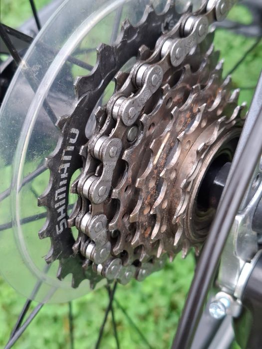 Rower kross evado 2.0 damski