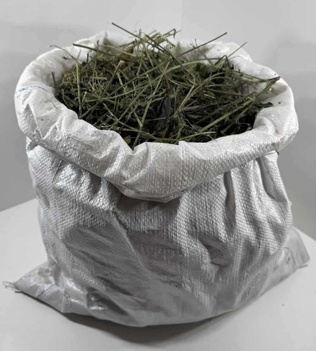 Pokrzywa Suszona Cała 2 KG Urtica Dioica na Herbatki i Płukanki