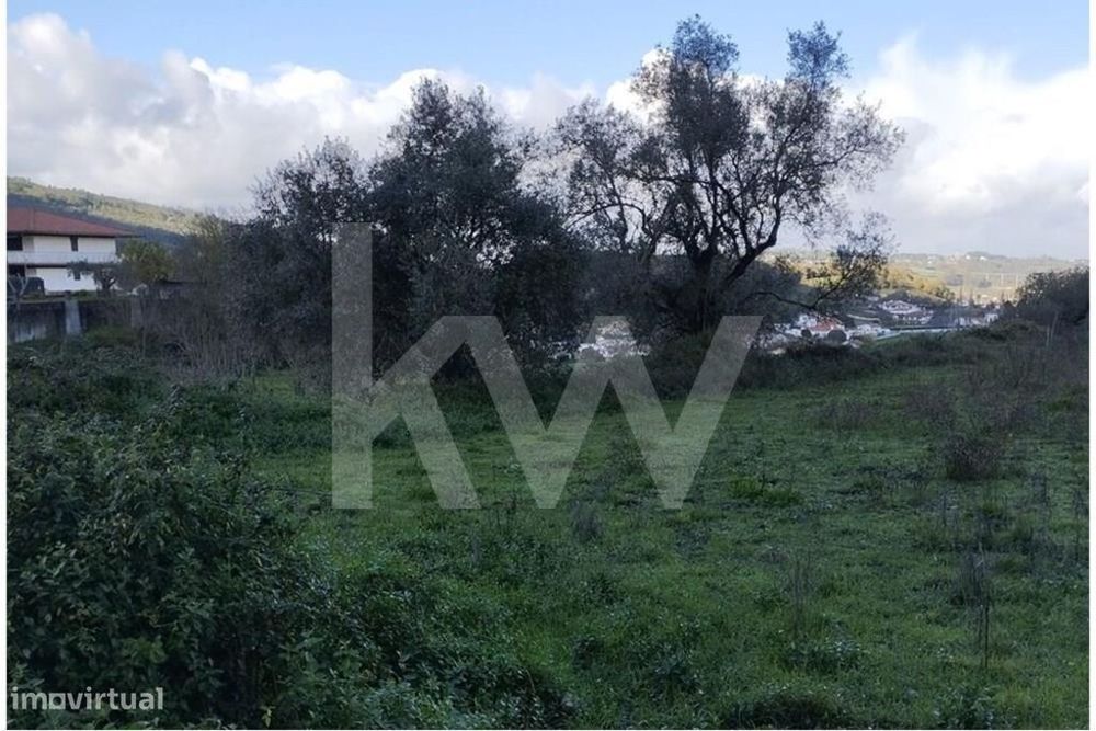 5.600 m2 - Terreno . Vende-se em PORTO MÓS — Porto De Mós - São João Baptista E São Pedro, Leiria