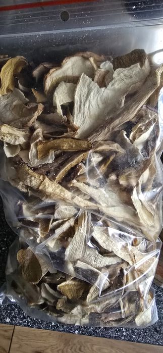 Grzyby suszone 10 op po 20 g jedyna okazja