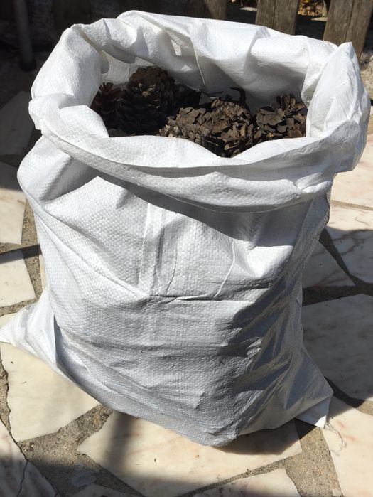 Sacas de Pinhas 5kg