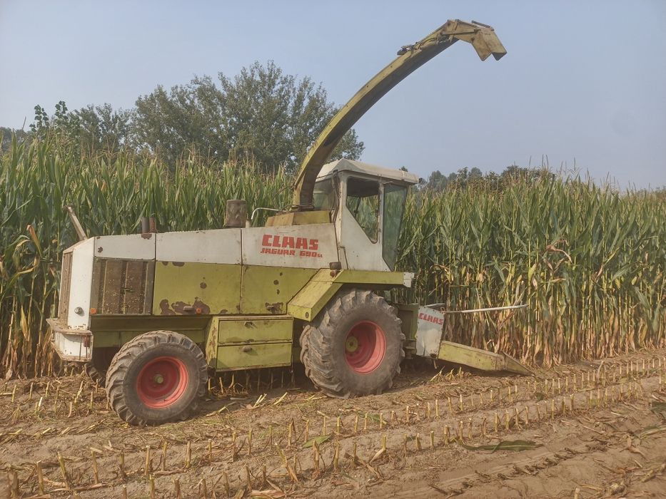 Claas jaguar 690 SL