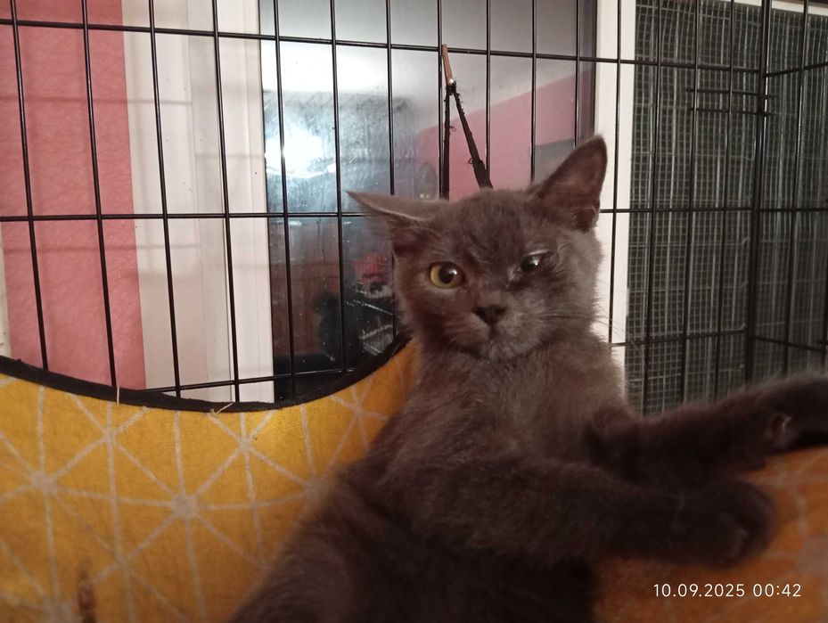 Малюк шукає маму