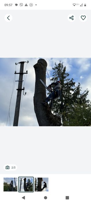 Зрізаю проблемні аварійні дерева