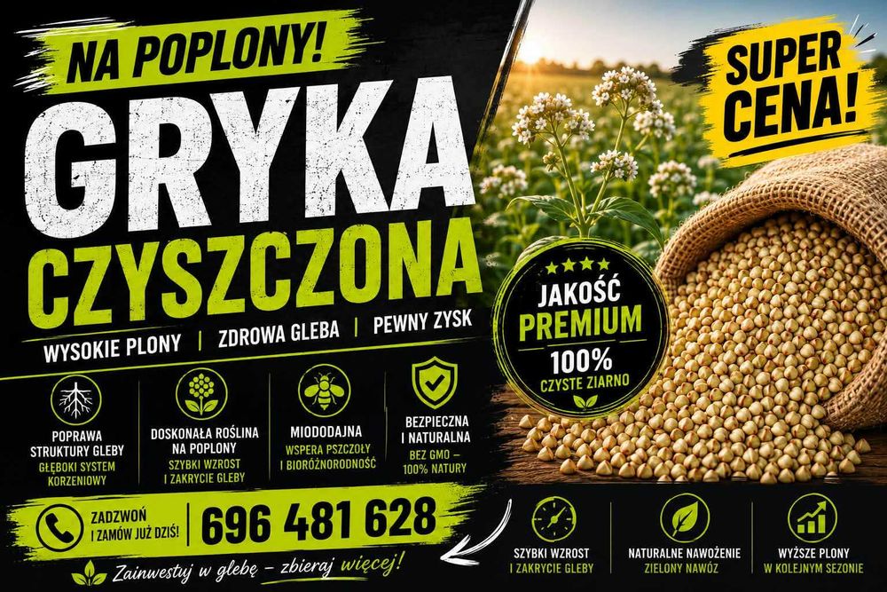 Gryka Zwyczajna - czyszczona