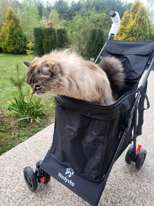 Wózek czterokołowy na zakupy, dla zwierzaka, transporter. Nowy.Nowość.