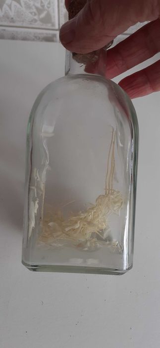 Garrafinha com flores secas