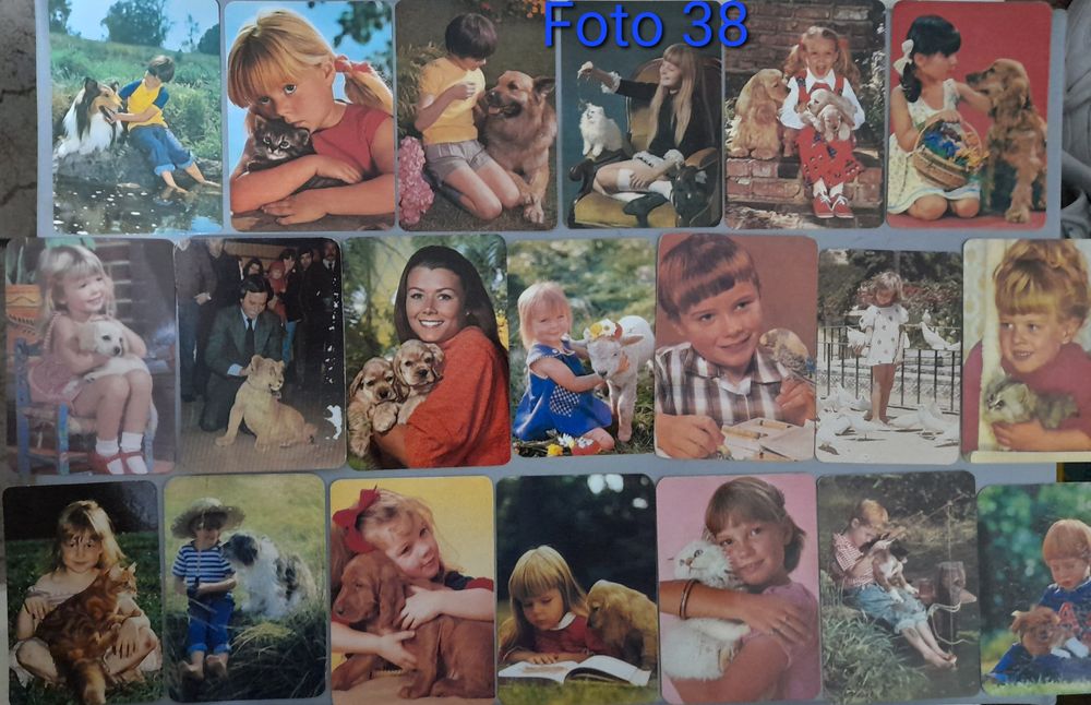 Calendários de bolso