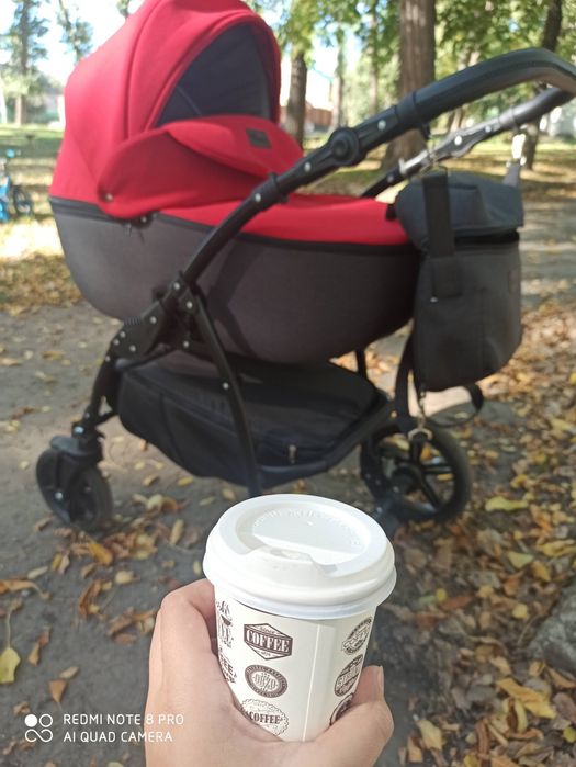 Візочок дитячий Viktoria - Gold- Classic