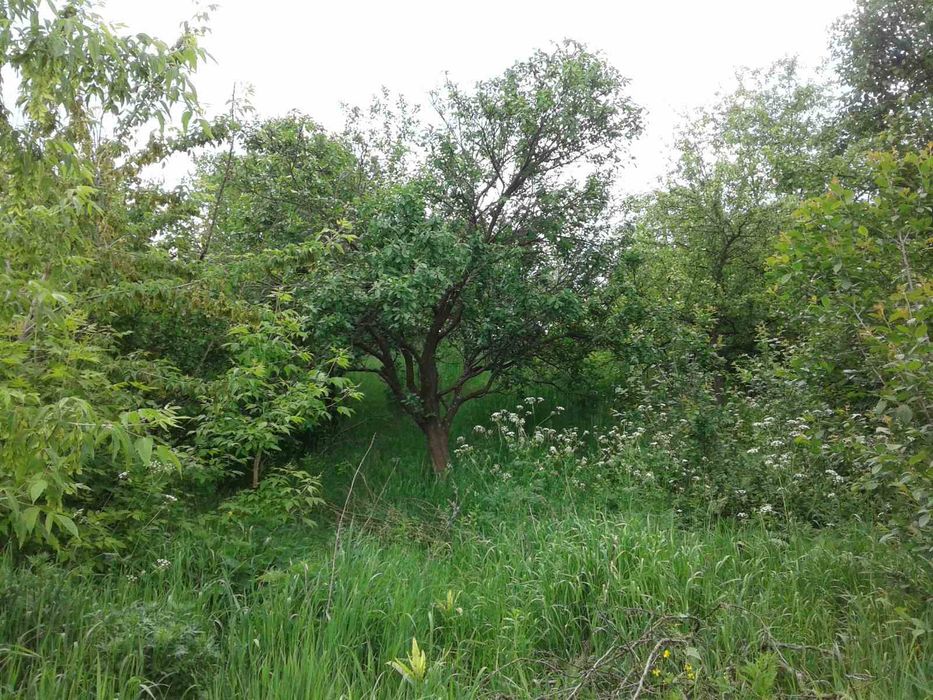 Продаж будинку Макіївка