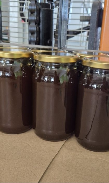 Miód ze spadzi iglasta z Roztocza spadziowy