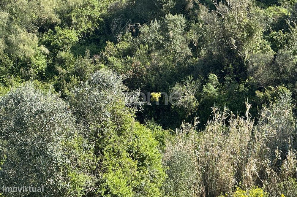 Terreno rústico com parcela urbana à beira da A8