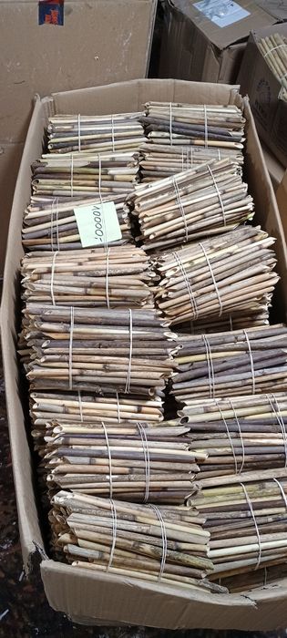 Trzcina , murarka ogrodowa, rurki , Faktura VAT Rr