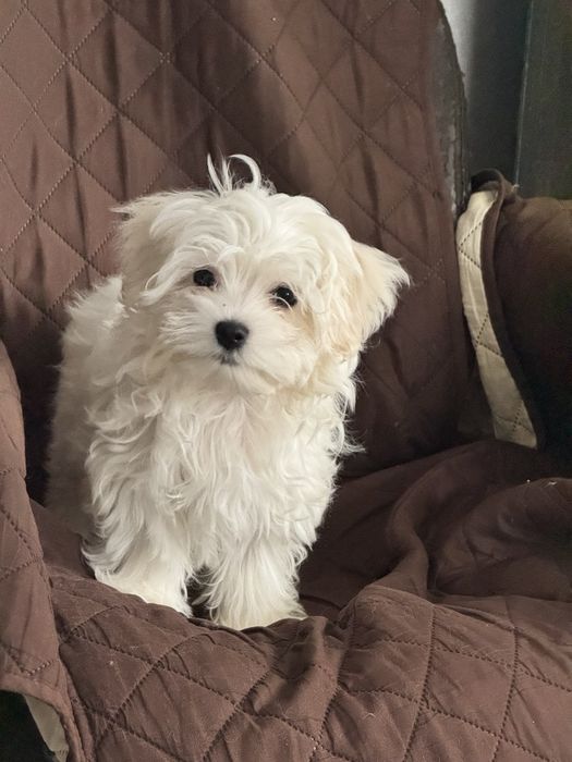 Щастя поруч. Хлопчик КСУ