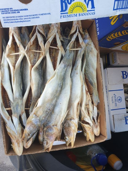 Плотва з ікрою.  Ікра толстолоб Густера Чехонь  Тарань сушена