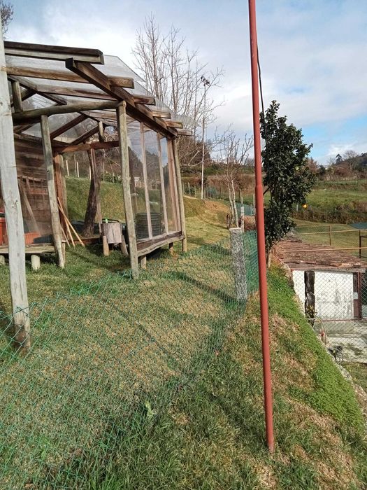 Quinta para Workshops de Jardinagem, Cultivo e Sustentabilidade