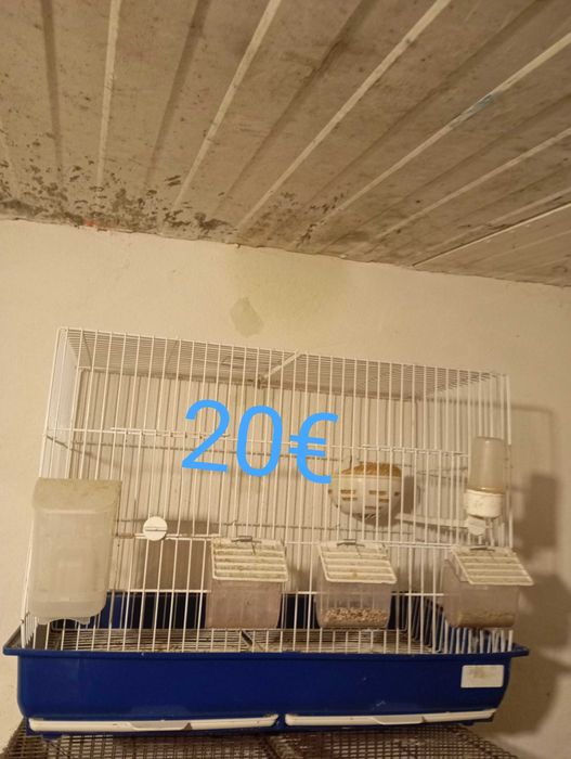 Vendo gaiolas em bom estado
