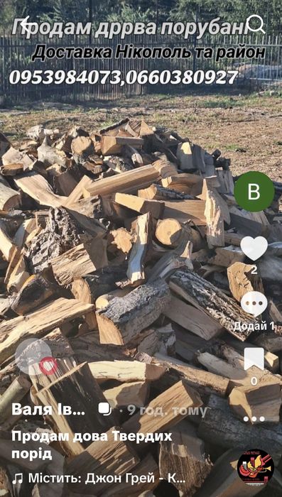 Продам Дрова Твердих порід дерев