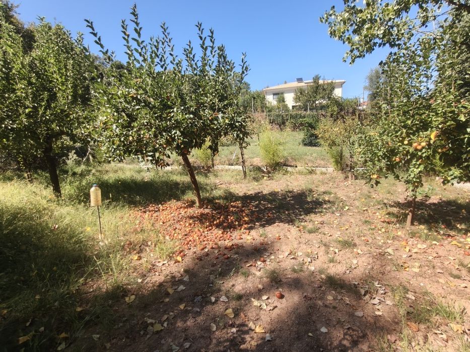 Quinta vedada 1400m2