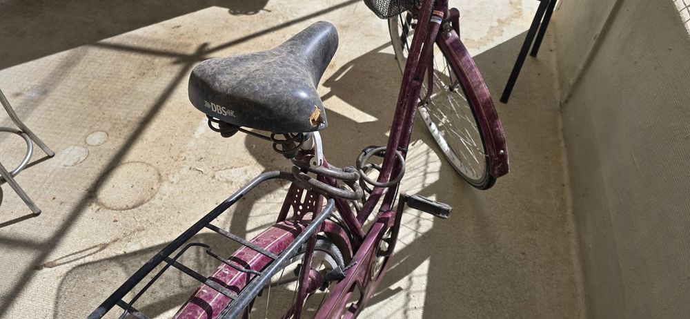 Bicicleta de marca holandesa