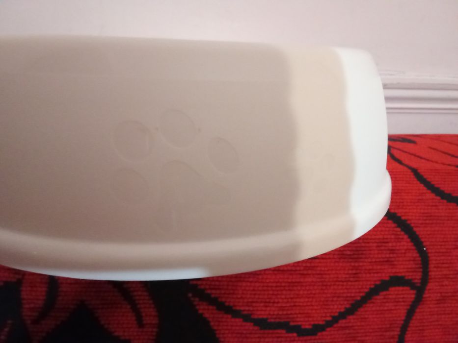 Taças de comida e água para cão