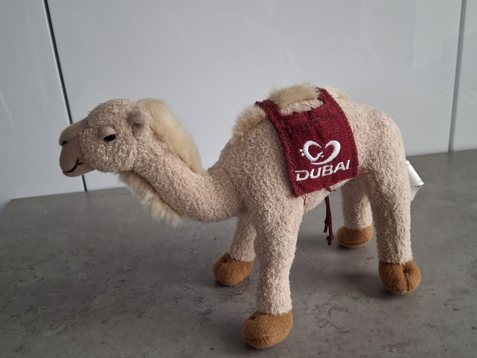 Dubaj wielbłąd misiek maskotka