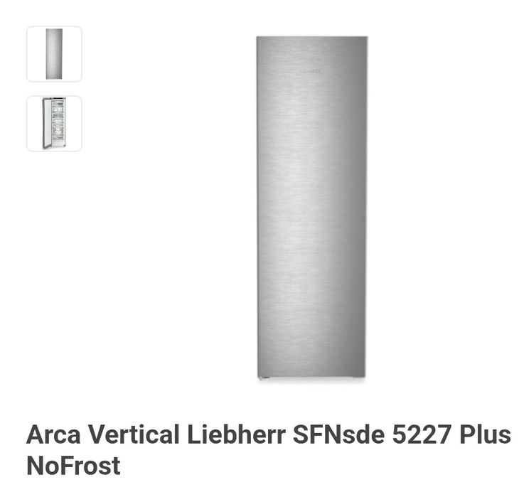 Arca vertica Leabherr