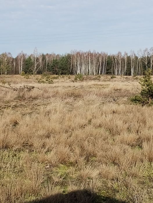 Ziemia rolna Małomin