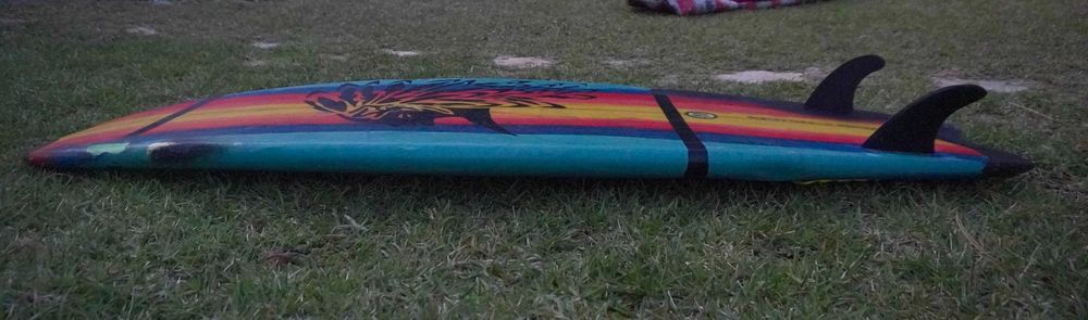 prancha fish 5’10 – Artesanal Africana (Twin Fin, Estilo Rasta)