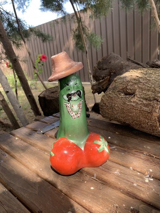 Пляшка для напоїв