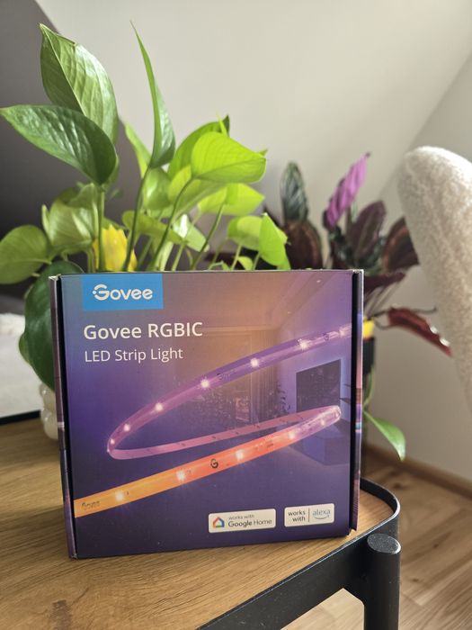 Govee Smart LED Strip Lights (RGBIC)