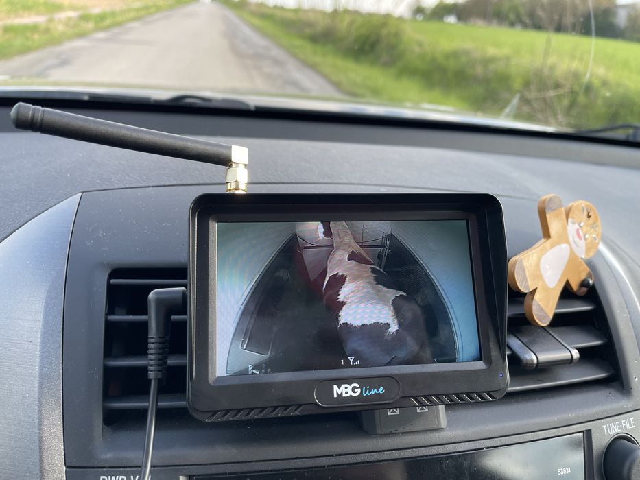 Wynajem/transport przyczepy jedno konnej prawo jazdy kat.B