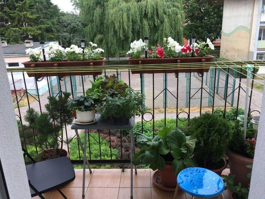 KOŁOBRZEG CENTRUM pokój 2, 3, 4 os /morze 15 min/ PKP i PKS 10 min.