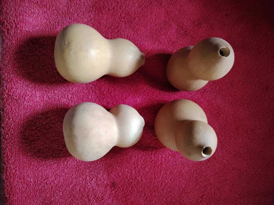 Cabaças por secar e meias secas