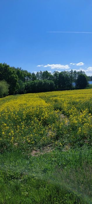 Działka budowlana na sprzedasz