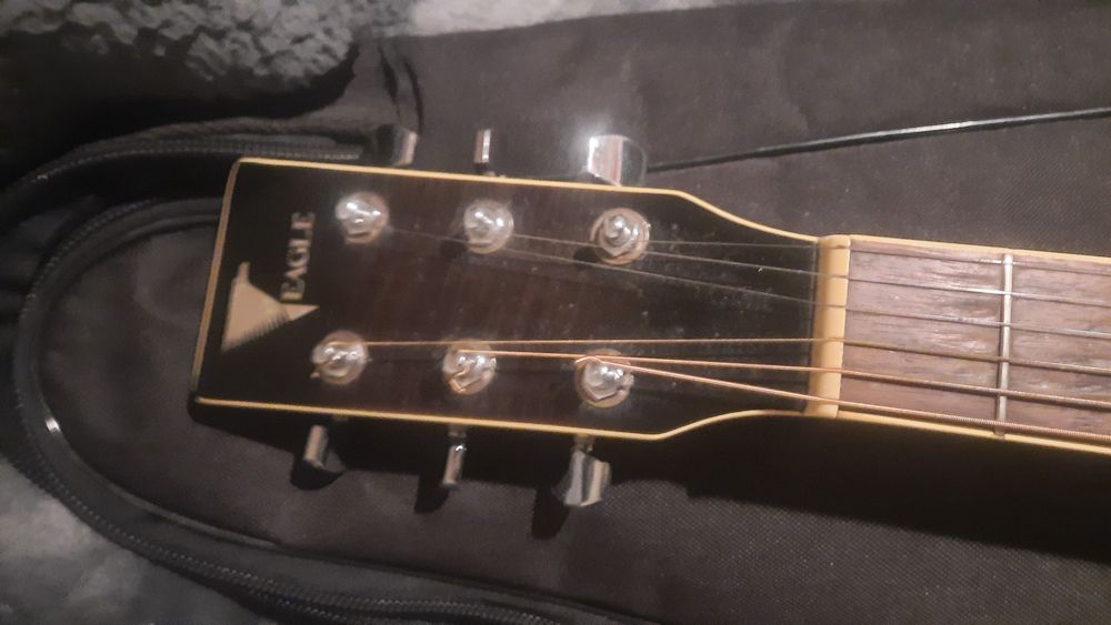 Viola semi-acustica eagle gl-36bkb