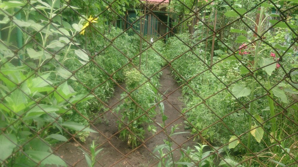 Будинок за адресою вул. Танкістів (площа 56 м²) - Atlanta.ua - фото 16