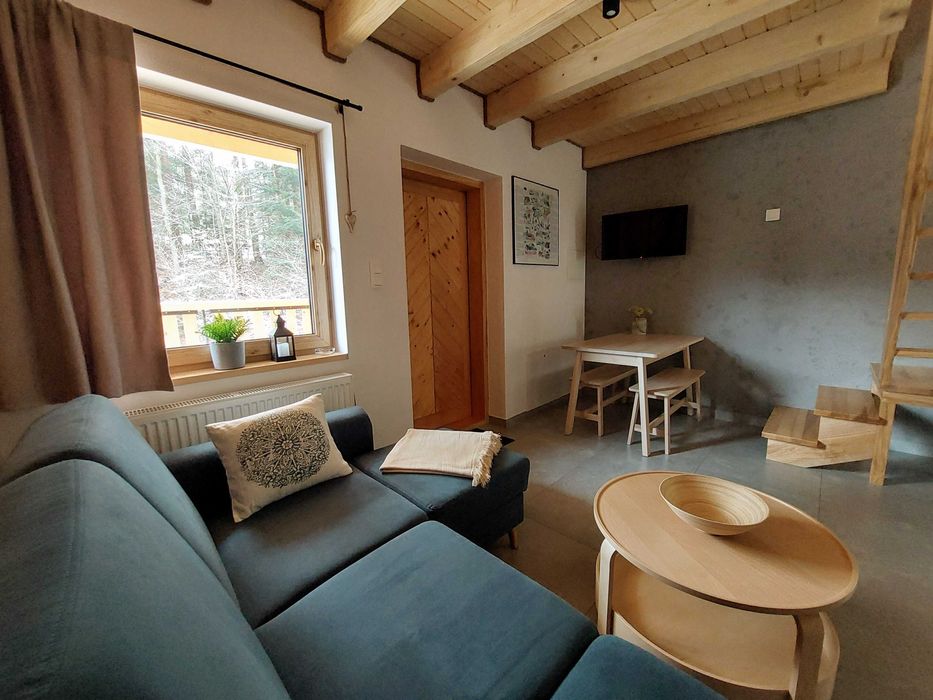 Domki w Bieszczadach - Ferie zimowe