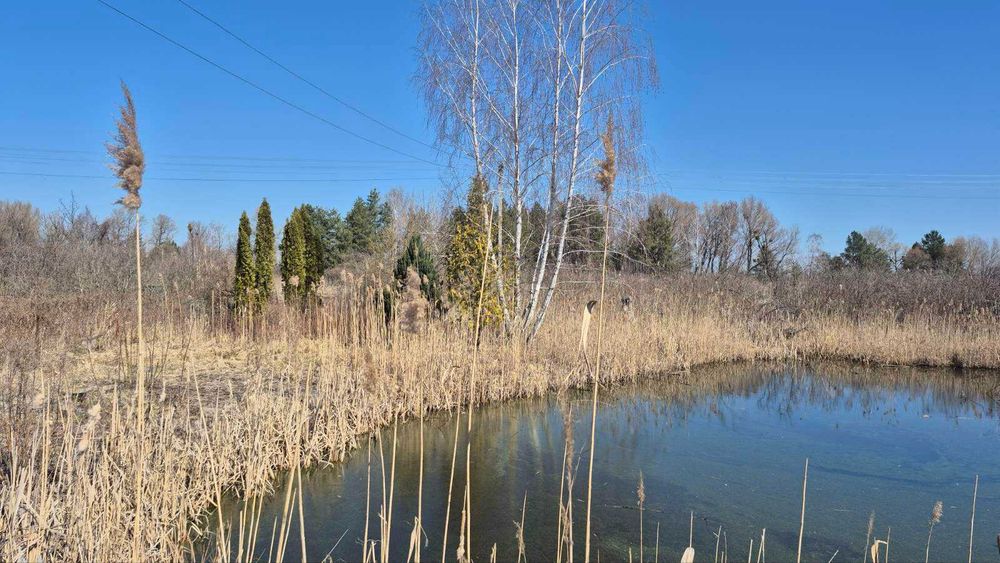 Продаж земельної ділянки у кооперативі "Сонячна поляна"