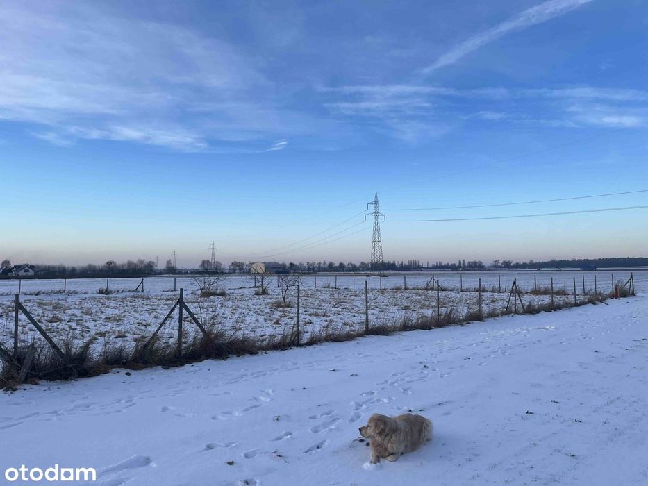 Działka budowlana 13,3a Ligota Górna, MPZP, Media